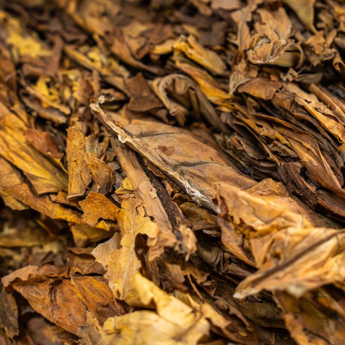 Tabaco